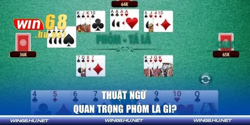 Bỏ túi thuật ngữ quan trọng về phỏm là gì?