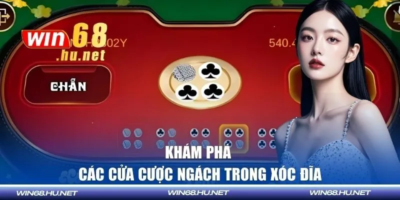 Khám phá các cửa cược ngách trong xóc đĩa