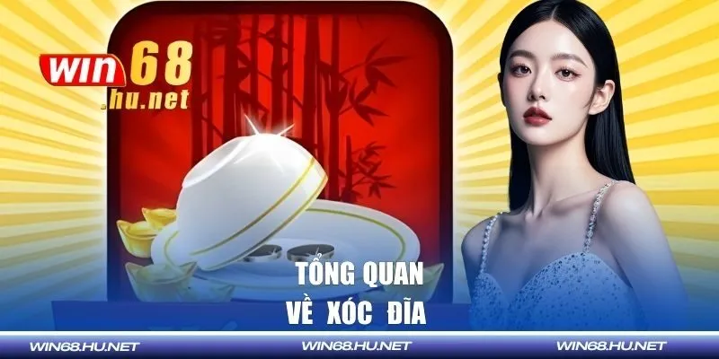 Tổng quan về xóc đĩa